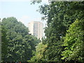 Towerblocks on Green Dragon Lane, viewed from Kew Gardens