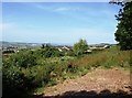 The very northern edge of Teignmouth from Higher Woodway Rd