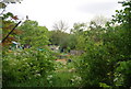 Allotments off Dulwich Common (A205)