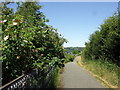 Cyclepath beside the by-pass