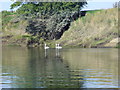 Banks of the River Severn