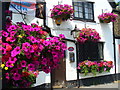 Farncombe in Bloom