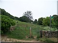 Bridleway meets road