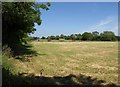 SO7613 : Field near Longney by Derek Harper