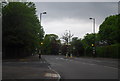 Zebra Crossing, Sydenham Hill