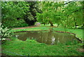 Pond, Sydenham Wells Park