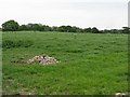 Grass field on Ashley Lane