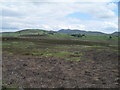 Wild land behind Golspie Hills