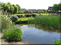 Pond, The Hermitage, Cleveleys