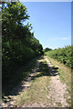 TL6366 : Restricted byway to Cotton End Road by Bob Jones