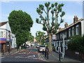 Kimberley Avenue, Nunhead