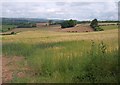 Countryside north of Higher Greenham