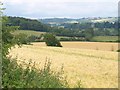 Higher Greenham from Fisher