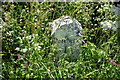 Milestone Near Stinsford, Dorset