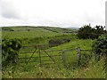 Ballynagard Townland