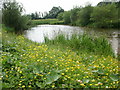 Retrospective view of a pond next to the River Tees