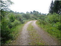 NR9274 : Estate track to Lower Auchalick by John Ferguson