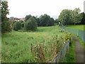 Waste ground, Malpas