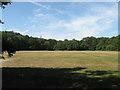 Open space on Pyrford Common