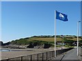 Blue flag and a blue sky, Broad Haven