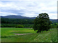 Looking towards Delnapot Hill