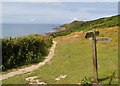 The South West Coast Path just above Grunta Beach