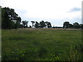 Field adjacent Lower Monubent Farm