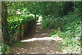 Footpath junction, Reigate Park