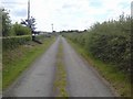 O0263 : Country Lane, Co Meath by C O'Flanagan