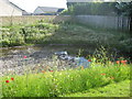 Drainage Pond at Grange