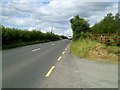 O0464 : R152 at Boolies Great, Co Meath by C O'Flanagan