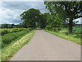 The road heading North from Rawes Farm to Castle Huntly