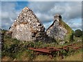 R1894 : A tumbledown cottage on the edge of Kilfenora by Neil Theasby