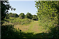 Avon Valley Path south of Kingston North Common