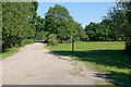 Track and footpath junction on Kingston North Common