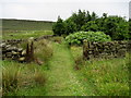 Right of Way South of Little Moss