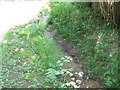 Dried-up stream alongside Mill Lane