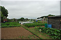 Allotments, Wick