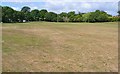 Green Open Space, Hoburne Estate