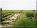 Wheat Field near Fagg