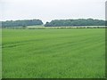 SP0930 : Gloucestershire farmland by Michael Dibb