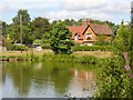 Village Pond, Hascombe