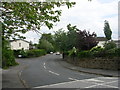 Cavendish Grove - Back Lane