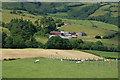 Fairdre Fawr farm