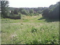 Eastern edge of East Wickham Open Space