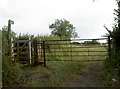 Footpath and farm gate