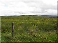 Ballynacoird Townland