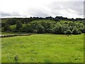 Burnside Townland