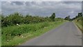 NY3452 : Minor road passing the lands of Orton Grange Farm by James Denham