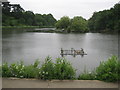 Bracknell Mill Pond